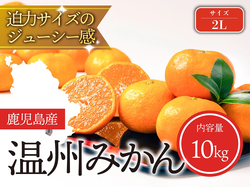 迫力サイズのジューシー感 温州みかん 2Lサイズ（10kg）