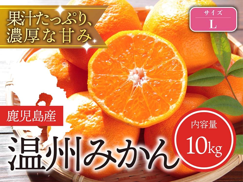 果汁たっぷり濃厚な甘み 温州みかん Lサイズ（10kg）
