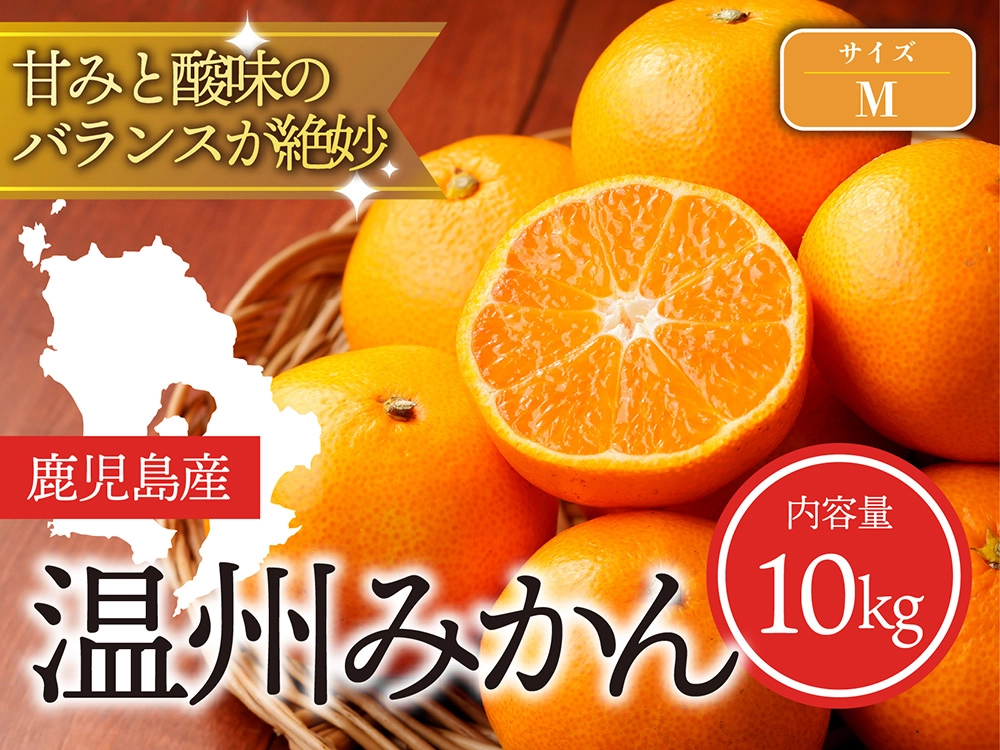 甘みと酸味のバランスが絶妙 温州みかん Mサイズ（10kg）