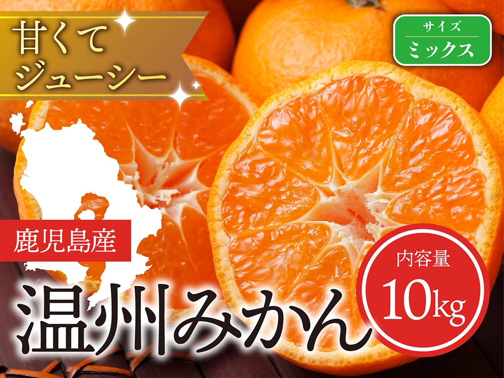 甘くてジューシー 温州みかん ミックスサイズ（10kg）