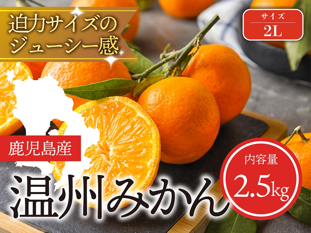 迫力サイズのジューシー感 温州みかん 2Lサイズ（2.5kg）