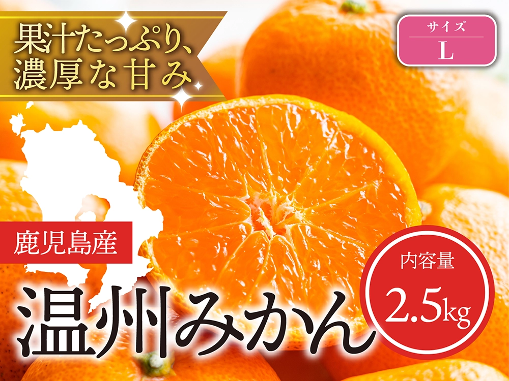 果汁たっぷり濃厚な甘み 温州みかん Lサイズ（2.5kg）