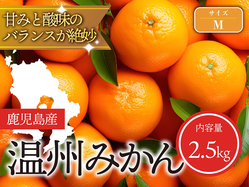甘みと酸味のバランスが絶妙 温州みかん  Mサイズ（2.5kg）