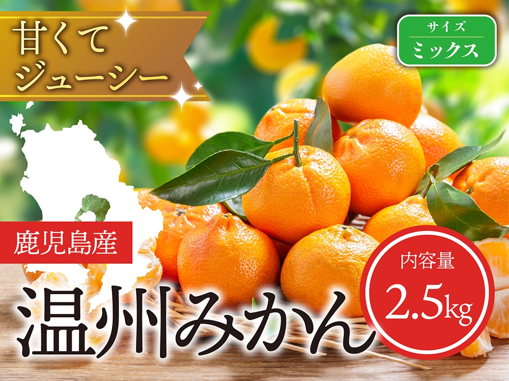 甘くてジューシー 温州みかん ミックスサイズ（2.5kg）