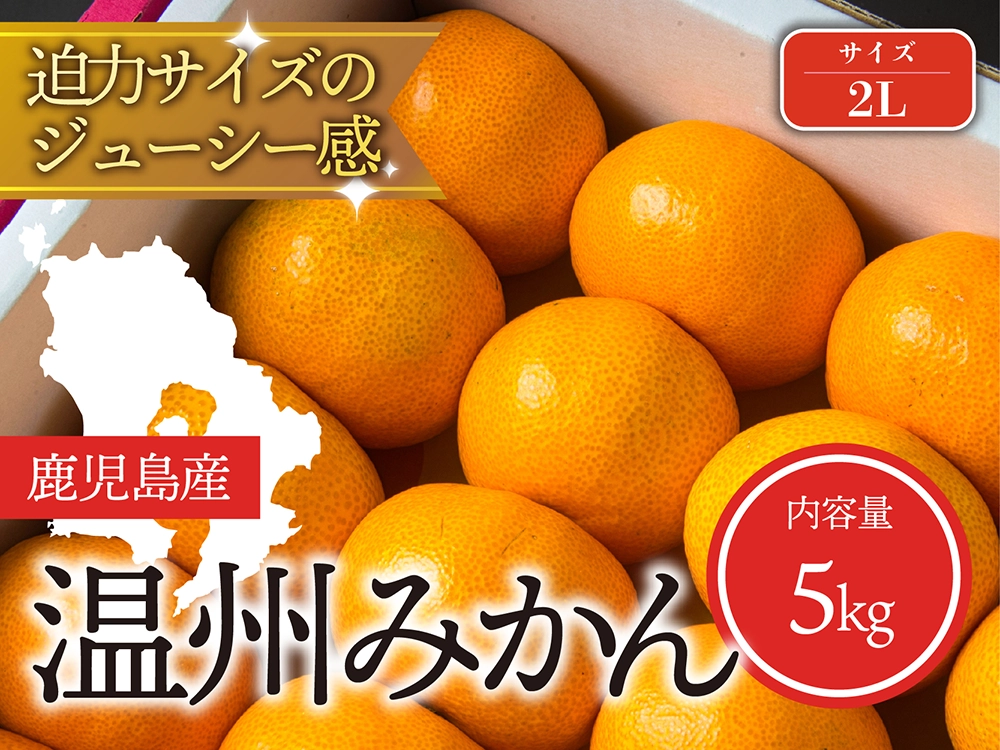 迫力サイズのジューシー感 温州みかん 2Lサイズ（5kg）