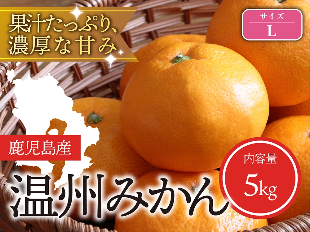 果汁たっぷり濃厚な甘み 温州みかん Lサイズ（5kg）