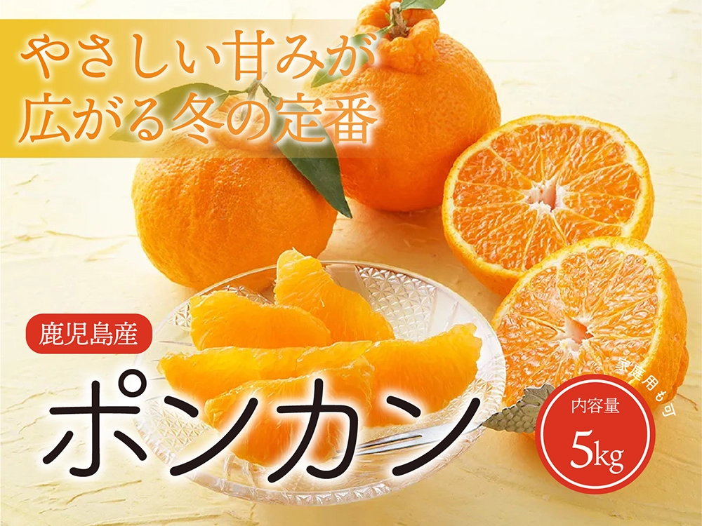 やさしい甘みが広がる冬の定番 ポンカン 5kg